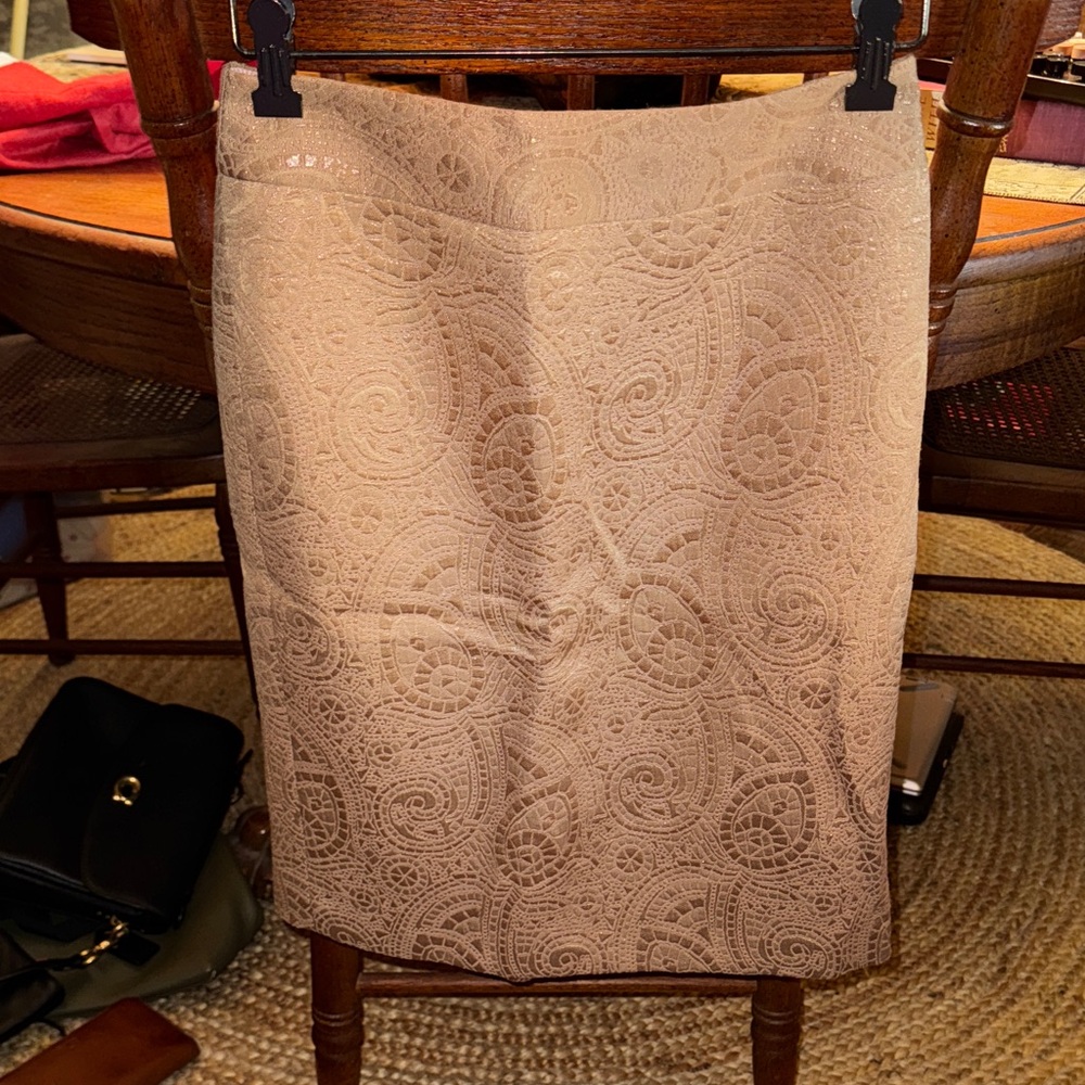 Elegant Lace Tan Skirt